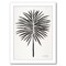 Black Fan Palm by Cat Coquillette Frame  - Americanflat